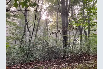 00 Wahwah Way #17, Waynesville, NC 28785 - Photo 8