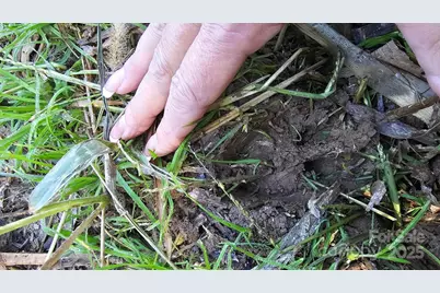 10130 Reed Mine Road, Midland, NC 28107 - Photo 16