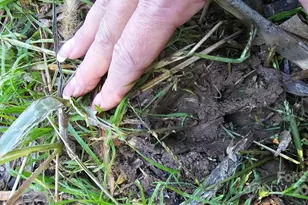 10130 Reed Mine Rd, Midland, NC 28107 - Photo 16