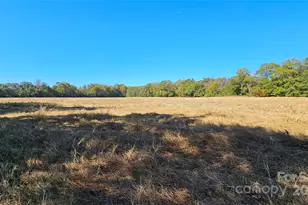 10130 Reed Mine Rd, Midland, NC 28107 - Photo 6