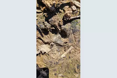 10130 Reed Mine Road, Midland, NC 28107 - Photo 20