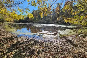 10130 Reed Mine Rd, Midland, NC 28107 - Photo 4