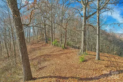 331 Silent Forest Drive, Canton, NC 28716 - Photo 1