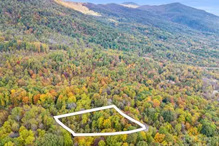 2140 Harm Creek Loop, Mill Spring, NC 28756 - Photo 6