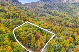 2140 Harm Creek Loop, Mill Spring, NC 28756 - Photo 20