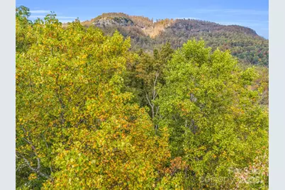 2140 Harm Creek Loop, Mill Spring, NC 28756 - Photo 22