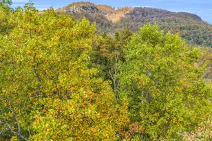 2140 Harm Creek Loop, Mill Spring, NC 28756 - Photo 22