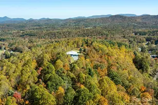 5481 Greenville Hwy, Zirconia, NC 28790 - Photo 32