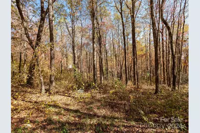 0 Grand Highland Drive #48, Hendersonville, NC 28792 - Photo 10