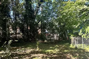 1115 Harrill St, Charlotte, NC 28205 - Photo 6