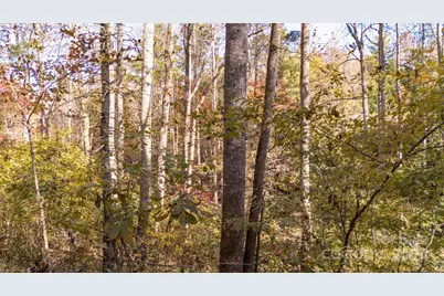 00 N Pinnacle Drive #3, Weaverville, NC 28787 - Photo 16