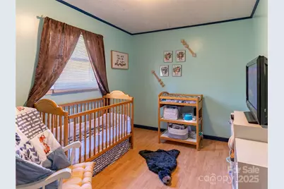1000 Mountain View Church Road, Zirconia, NC 28790 - Photo 16