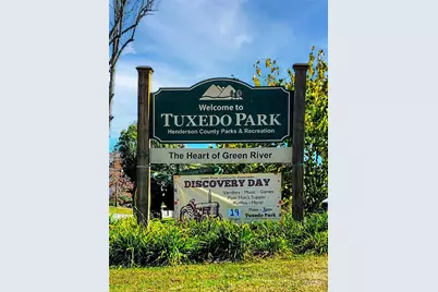 1000 Mountain View Church Road, Zirconia, NC 28790 - Photo 22