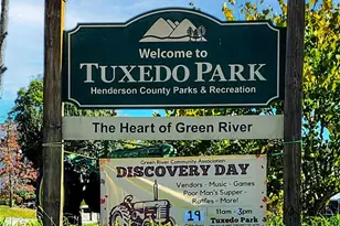 1000 Mountain View Church Rd, Zirconia, NC 28790 - Photo 22