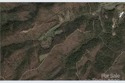 2909 Pine Mountain Drive, Connelly Springs, NC 28612 - Photo 24