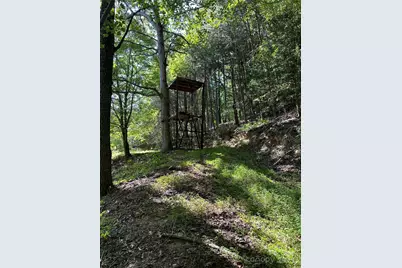 2909 Pine Mountain Drive, Connelly Springs, NC 28612 - Photo 18