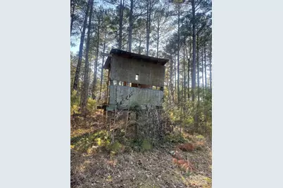 1386 Old Pinckney Road, York, SC 29745 - Photo 20