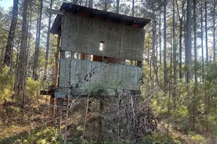 1386 Old Pinckney Rd, York, SC 29745 - Photo 20