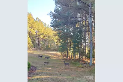 116 Cranberry Lane, Mooresboro, NC 28114 - Photo 38