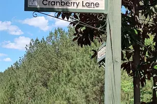 116 Cranberry Ln, Mooresboro, NC 28114 - Photo 1