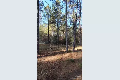 116 Cranberry Lane, Mooresboro, NC 28114 - Photo 34