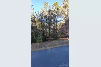 116 Cranberry Lane, Mooresboro, NC 28114 - Photo 26