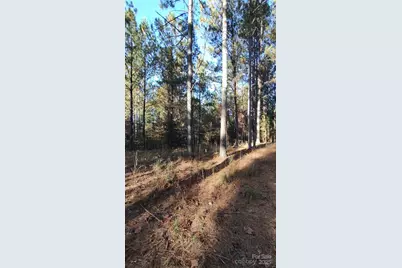 116 Cranberry Lane, Mooresboro, NC 28114 - Photo 30