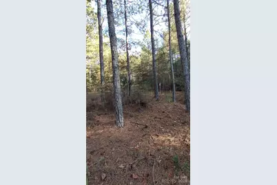 116 Cranberry Lane, Mooresboro, NC 28114 - Photo 28