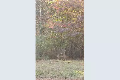 116 Cranberry Lane, Mooresboro, NC 28114 - Photo 40