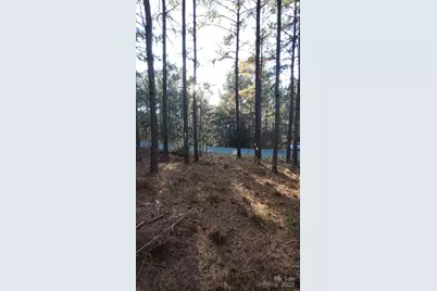 116 Cranberry Lane, Mooresboro, NC 28114 - Photo 36