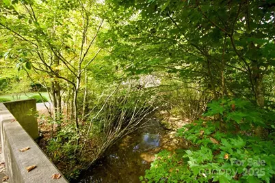 5580 Greenville Highway, Brevard, NC 28712 - Photo 48