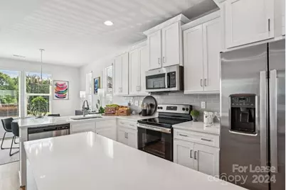 204 Monarch Creek Lane #N Davidson, Charlotte, NC 28206 - Photo 2