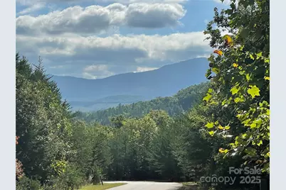 00 Birkdale Drive #159, Mill Spring, NC 28756 - Photo 6