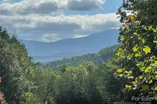 00 Birkdale Dr, Mill Spring, NC 28756 - Photo 6