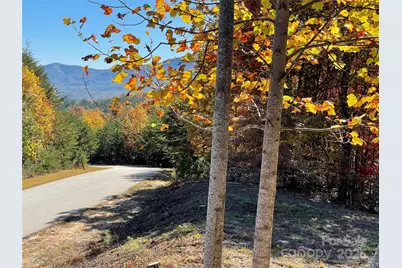 00 Birkdale Drive #159, Mill Spring, NC 28756 - Photo 18