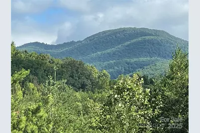 00 Birkdale Drive #159, Mill Spring, NC 28756 - Photo 4