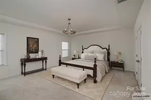 10978 Sparkle Creek Dr, Midland, NC 28107 - Photo 18