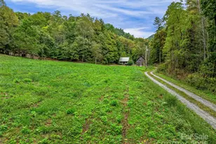 2725 Upper Brush Creek Rd, Marshall, NC 28753 - Photo 2