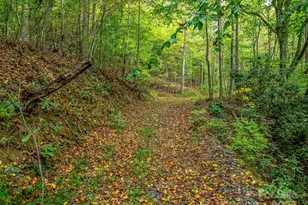 2725 Upper Brush Creek Rd, Marshall, NC 28753 - Photo 6