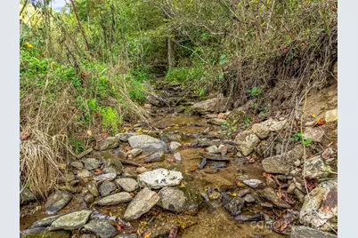 2725 Upper Brush Creek Road, Marshall, NC 28753 - Photo 8