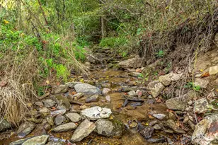 2725 Upper Brush Creek Rd, Marshall, NC 28753 - Photo 8