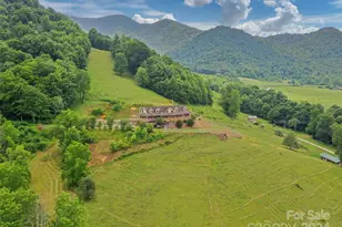 317 Camp Branch Rd, Clyde, NC 28721 - Photo 22