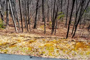 2101 Harm Creek Loop, Mill Spring, NC 28756 - Photo 12