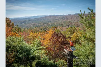 47 Ruffed Grouse Road, Brevard, NC 28712 - Photo 8