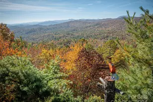 47 Ruffed Grouse Rd, Brevard, NC 28712 - Photo 8