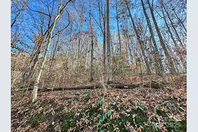 383 Blue Mist Mountain Road, Whittier, NC 28789 - Photo 34