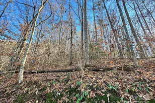 383 Blue Mist Mountain Rd, Whittier, NC 28789 - Photo 34