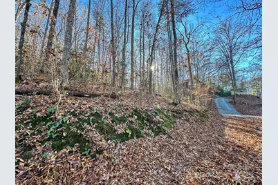 383 Blue Mist Mountain Road, Whittier, NC 28789 - Photo 32