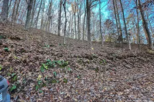 383 Blue Mist Mountain Rd, Whittier, NC 28789 - Photo 42