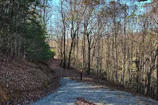 383 Blue Mist Mountain Rd, Whittier, NC 28789 - Photo 40